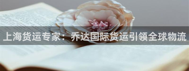 尊龙,人生就是搏：上海货运专家：乔达国际货运引领全球物流