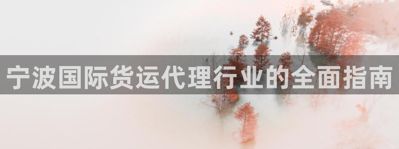 尊龙凯时泰安：宁波国际货运代理行业的全面指南