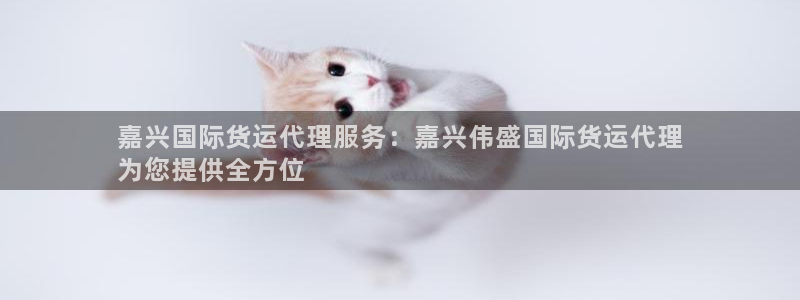 尊龙d88官网去来就送38：嘉兴国际货运代理服务：嘉兴伟