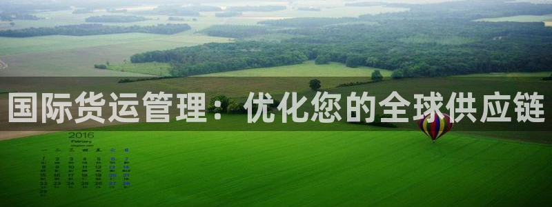 尊龙t300和t400哪个好：国际货运管理：优化您的全球