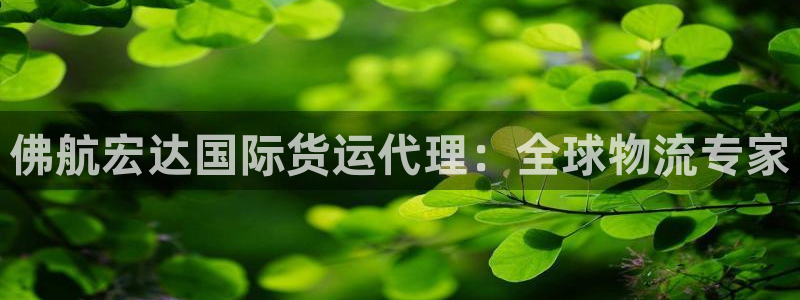 尊龙人生就是博i可靠吗