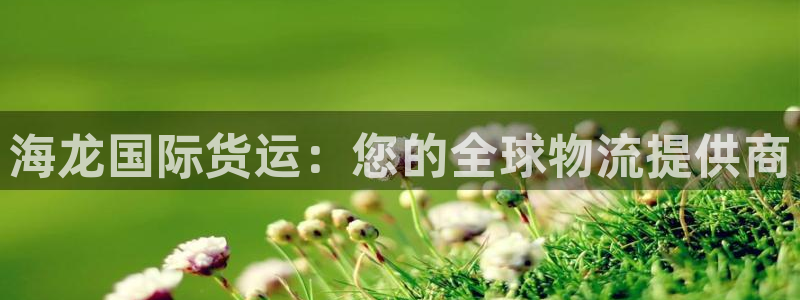 尊龙官网登录·(中国)官方网站-bd SPORTS：海龙