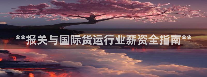 尊龙凯时出款：**报关与国际货运行业薪资全指南**