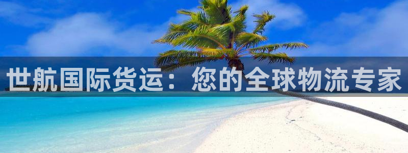 尊龙棋牌旗舰店：世航国际货运：您的全球物流专家