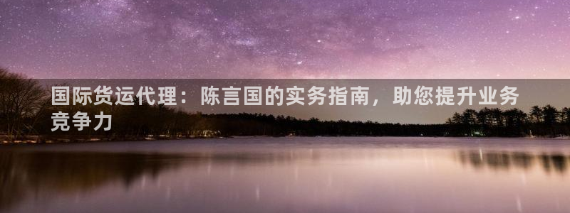 尊龙官网地址：国际货运代理：陈言国的实务指南，助您提升业