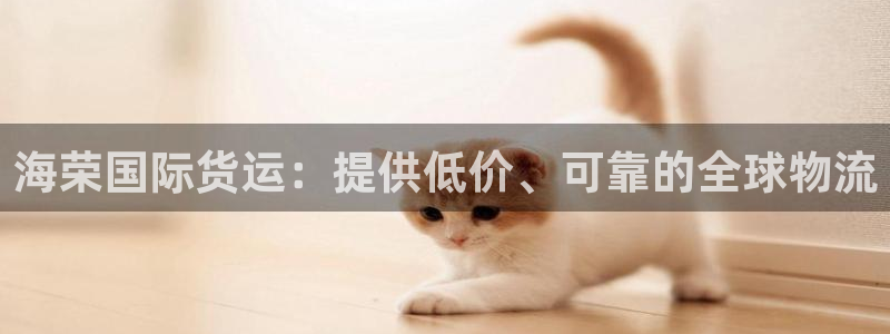 尊龙光学怎么样：海荣国际货运：提供低价、可靠的全球物流