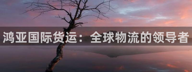 尊龙凯时 人生就是搏：鸿亚国际货运：全球物流的领导者