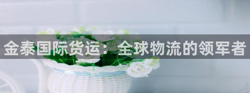 尊龙网站 人生就是博：金泰国际货运：全球物流的领军者