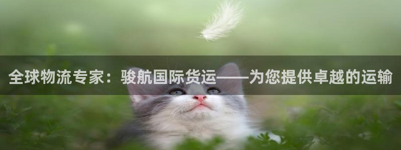 尊龙凯时平台入口：全球物流专家：骏航国际货运——为您提供