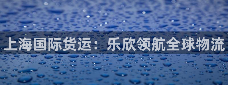 尊龙凯时总部在哪里：上海国际货运：乐欣领航全球物流