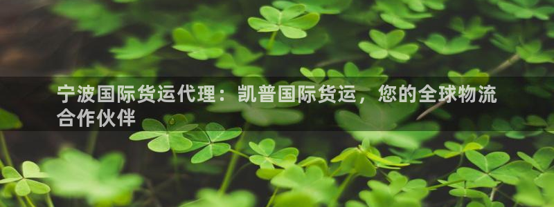 尊龙物流官网：宁波国际货运代理：凯普国际货运，您的全球物