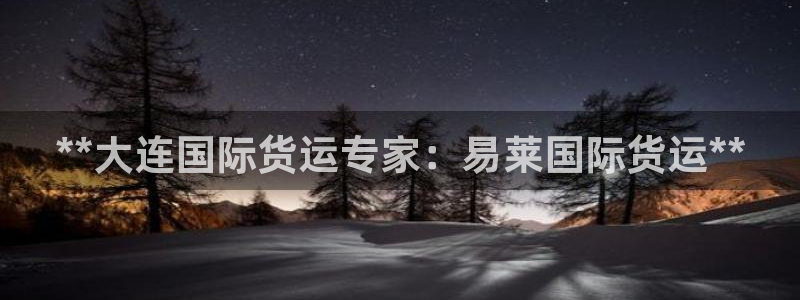 尊龙 中国：**大连国际货运专家：易莱国际货运**