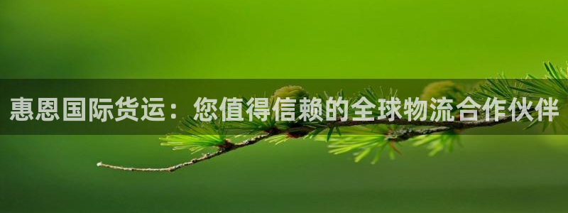 尊龙官方平台：惠恩国际货运：您值得信赖的全球物流合作伙伴