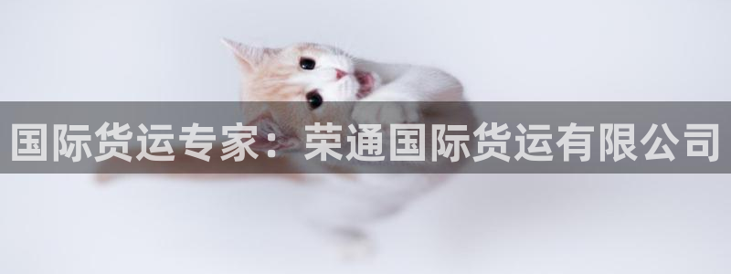 尊龙凯时的最新消息：国际货运专家：荣通国际货运有限公司