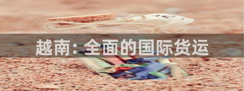 尊龙网址是选访问zd207：越南: 全面的国际货运