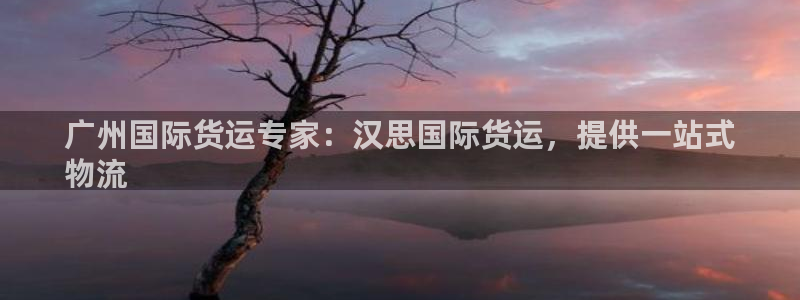 尊龙电子：广州国际货运专家：汉思国际货运，提供一站式
物