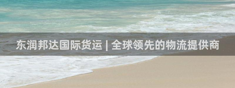 尊龙人生就是博登陆：东润邦达国际货运 | 全球领先的物流