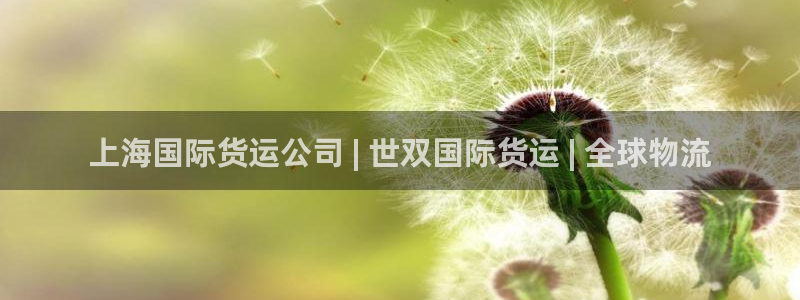 尊龙体育电竞官网：上海国际货运公司 | 世双国际货运 |