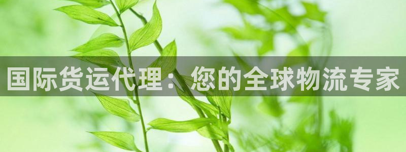 尊龙凯时网页版：国际货运代理：您的全球物流专家
