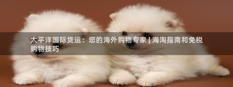尊龙app最新版本官网：太平洋国际货运：您的海外购物专家