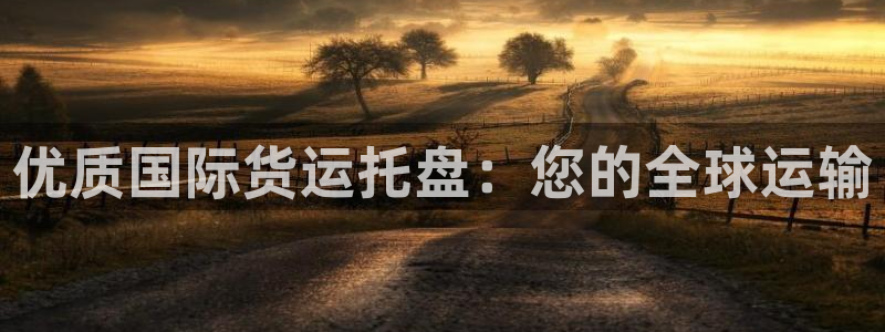尊龙官方：优质国际货运托盘：您的全球运输