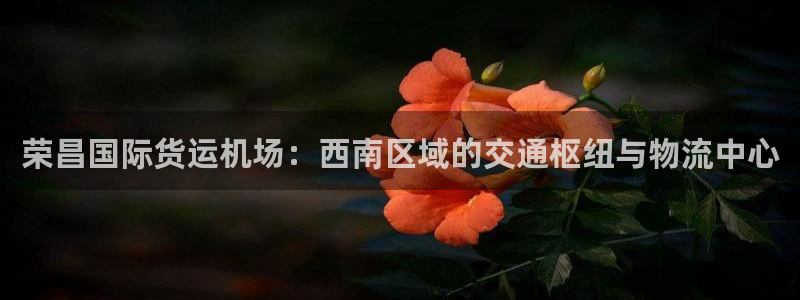 尊龙官网免费下载安装