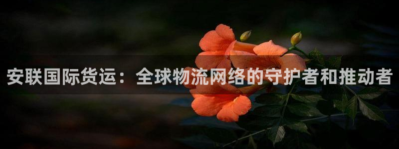尊龙个人资料简介