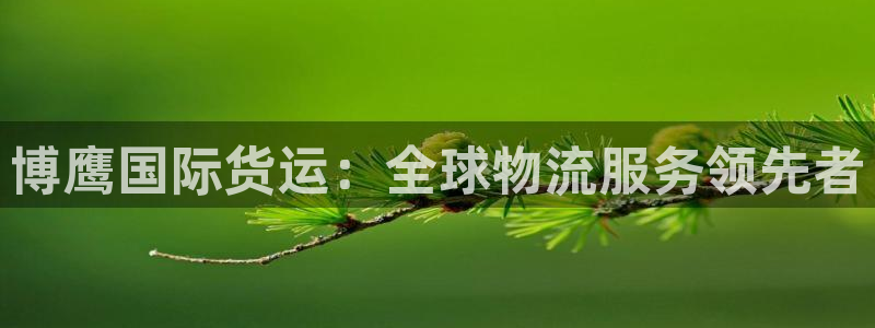 z6com尊龙