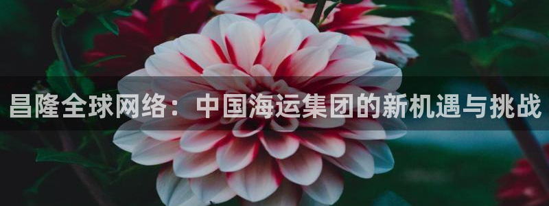 尊龙凯时平台不给出款怎么办