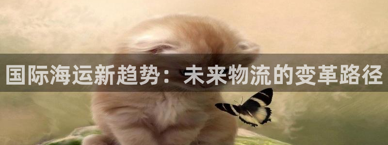尊龙凯时取款不成功