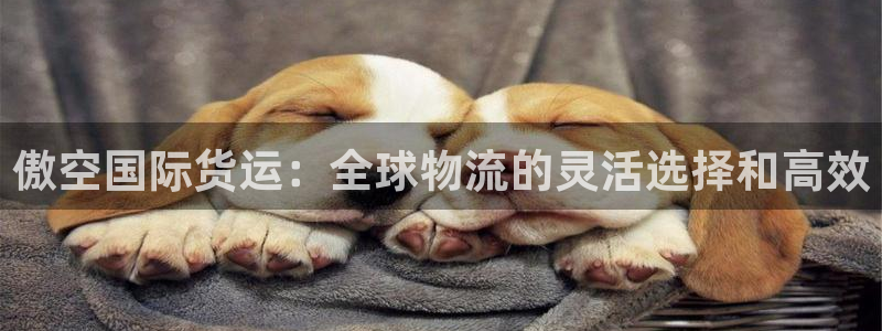 尊龙人生就是博首页入口