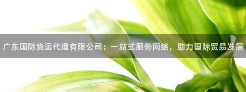 尊龙凯时城游戏官网