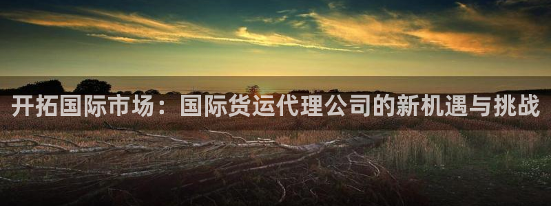 尊龙凯时一人生就是博登入