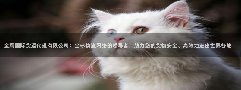 百度一下尊龙