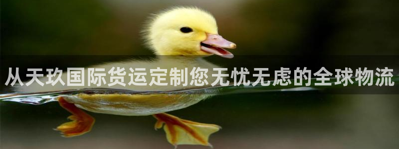尊龙凯时防屏蔽网址