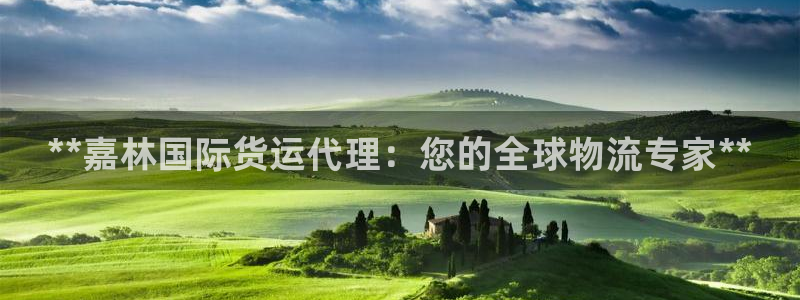 尊龙服饰有限公司地址：**嘉林国际货运代理：您的全球物流