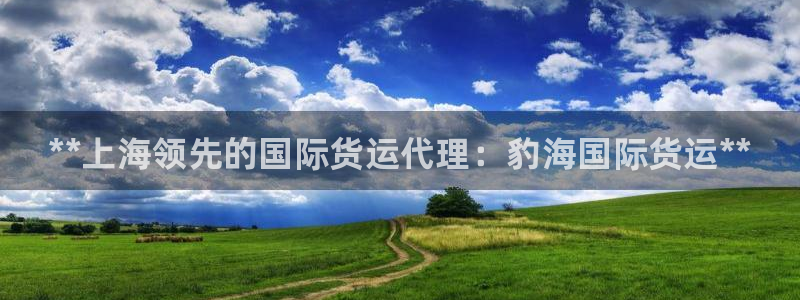 尊龙凯时app安装：**上海领先的国际货运代理：豹海国际