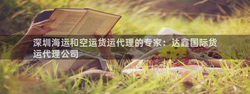 尊龙游戏官网：深圳海运和空运货运代理的专家：达鑫国际货

