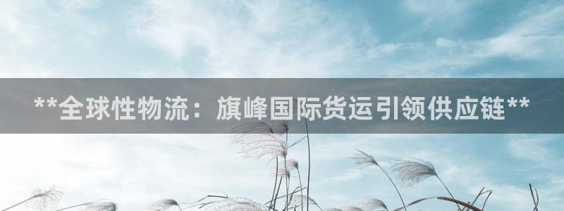 尊龙凯时取款不成功