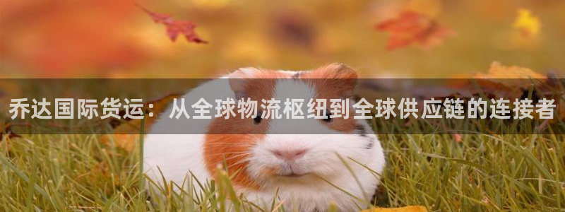 尊龙人生就是博网站