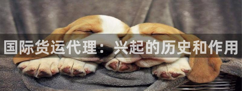 尊龙凯时网站网址：国际货运代理：兴起的历史和作用