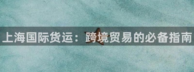 尊龙凯时充值不到账：上海国际货运：跨境贸易的必备指南