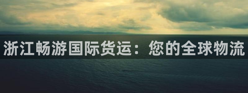 尊龙l1500：浙江畅游国际货运：您的全球物流