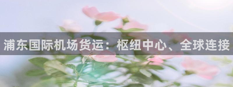 尊龙人生就是傅官网：浦东国际机场货运：枢纽中心、全球连接