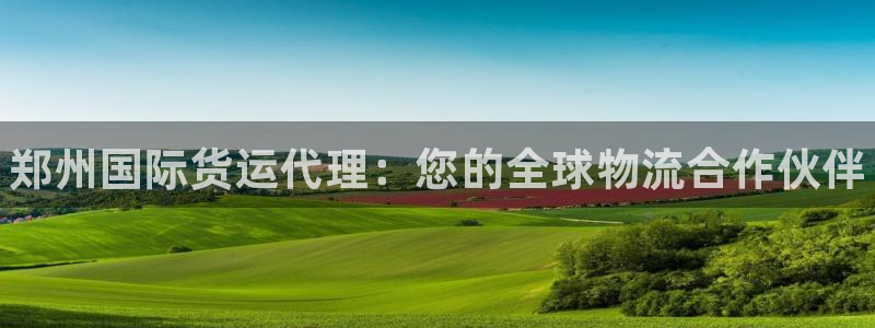 尊龙现金：郑州国际货运代理：您的全球物流合作伙伴