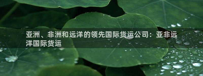 尊龙官网登录·(中国)官方网站-bd SPORTS