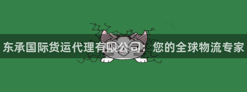 尊龙 10：东承国际货运代理有限公司：您的全球物流专家