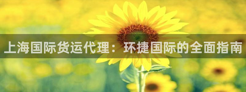 尊龙凯时凯发官网：上海国际货运代理：环捷国际的全面指南