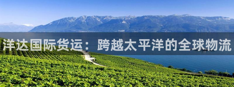 尊龙ag旗舰厅登录 租车app下载：洋达国际货运：跨越太