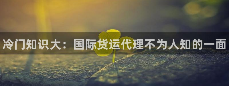 d88尊龙官方网：冷门知识大：国际货运代理不为人知的一面